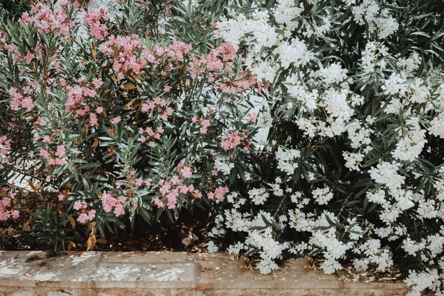 Hydra’s Bloom – SS26 Sandals Collection